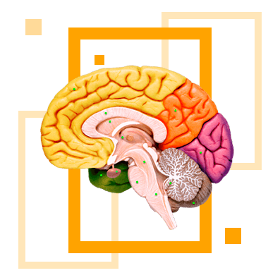Психология и педагогика начального образования