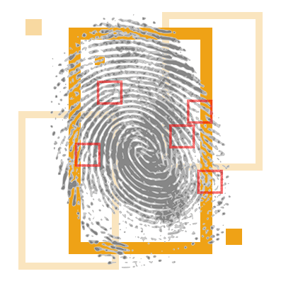 Уголовное право и процесс