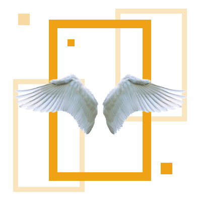 Предпринимательство и управление бизнесом