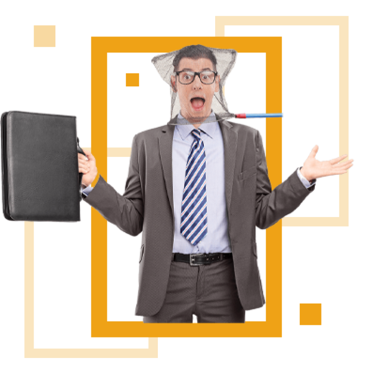 Рекрутинг, дистанционный баклавриат в МИП