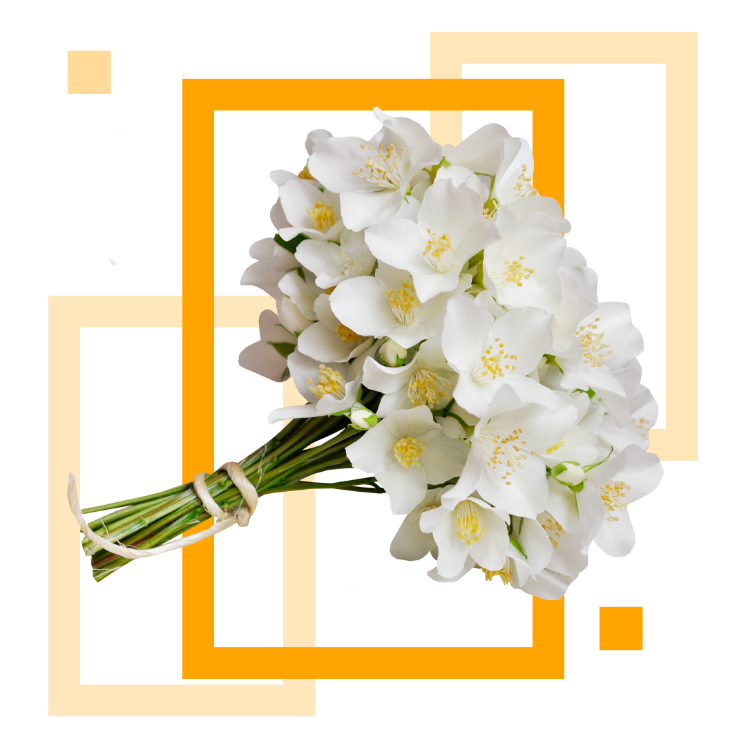 Event-менеджмент